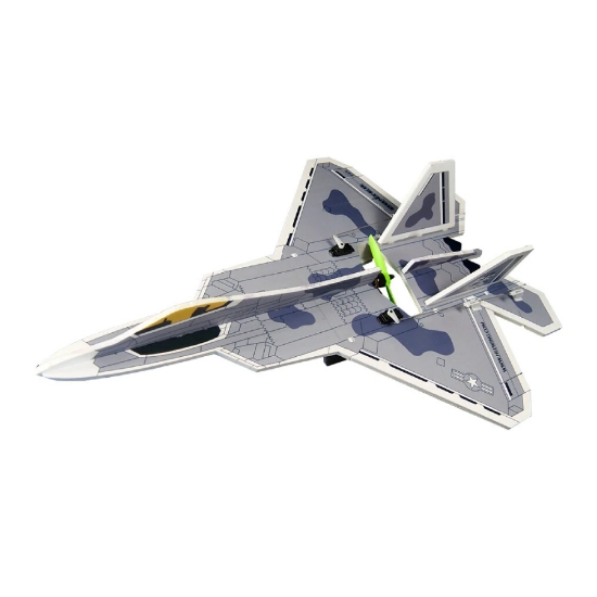 Hee Wing Hunter F22 Plane (Kit)